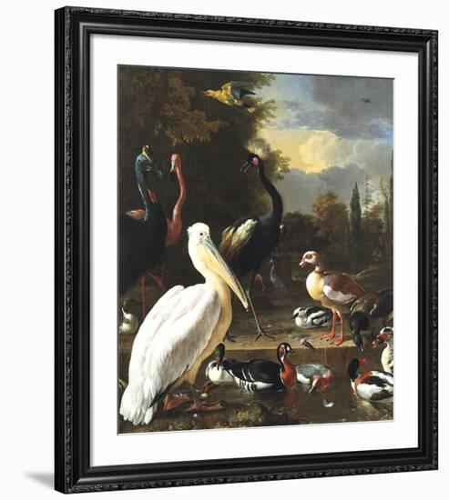 The Floating Feather-Melchior d'Hondecoeter-Framed Premium Giclee Print