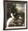 The Floating Feather-Melchior d'Hondecoeter-Framed Premium Giclee Print