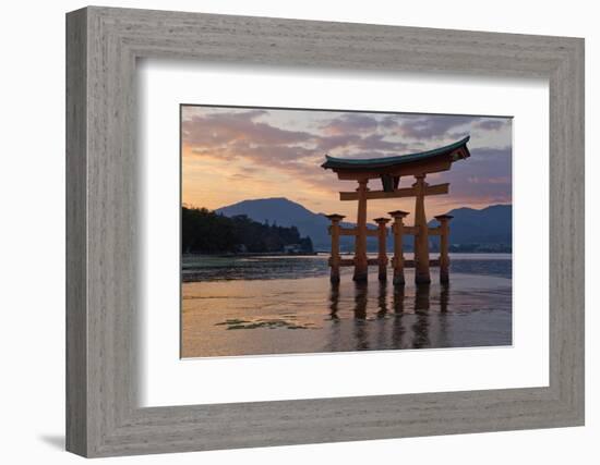 The Floating Miyajima Torii Gate of Itsukushima Shrine at Sunset-Stuart Black-Framed Photographic Print