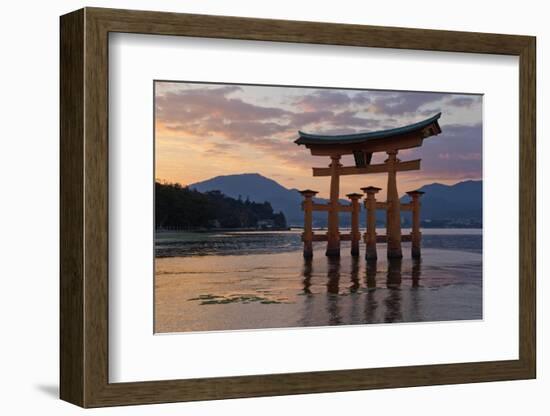 The Floating Miyajima Torii Gate of Itsukushima Shrine at Sunset-Stuart Black-Framed Photographic Print