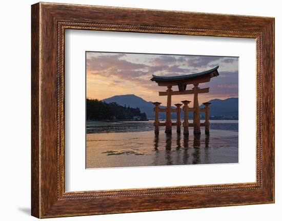 The Floating Miyajima Torii Gate of Itsukushima Shrine at Sunset-Stuart Black-Framed Photographic Print