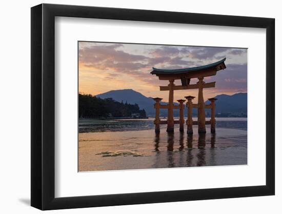 The Floating Miyajima Torii Gate of Itsukushima Shrine at Sunset-Stuart Black-Framed Photographic Print