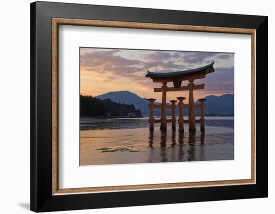 The Floating Miyajima Torii Gate of Itsukushima Shrine at Sunset-Stuart Black-Framed Photographic Print