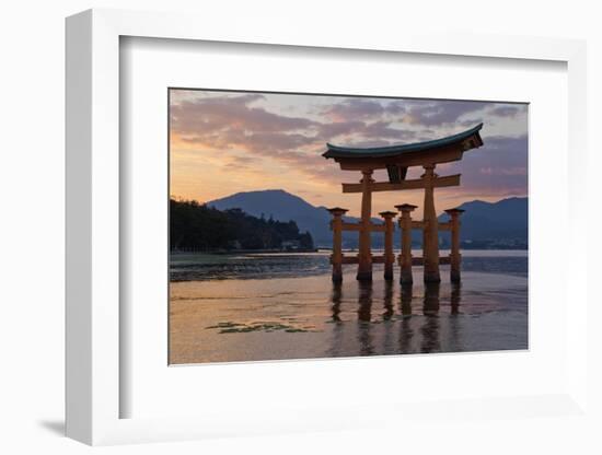 The Floating Miyajima Torii Gate of Itsukushima Shrine at Sunset-Stuart Black-Framed Photographic Print