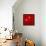 The Floating Red-Susse Volander-Framed Stretched Canvas displayed on a wall