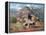 The Floor of the Palo Duro-Jack Sorenson-Framed Stretched Canvas