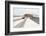 The Flounder-Burghard Nitzschmann-Framed Photographic Print