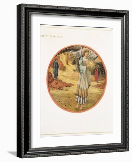 The Flower Book: WW. Star of Bethlehem, 1905-Edward Burne-Jones-Framed Giclee Print