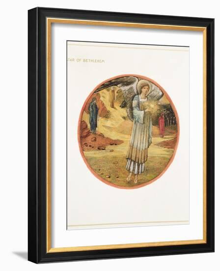 The Flower Book: WW. Star of Bethlehem, 1905-Edward Burne-Jones-Framed Giclee Print