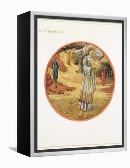 The Flower Book: WW. Star of Bethlehem, 1905-Edward Burne-Jones-Framed Premier Image Canvas