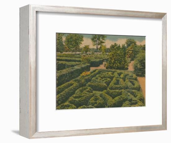 'The Flower Garden, general view', 1946-Unknown-Framed Giclee Print