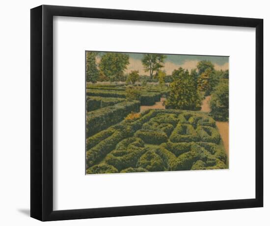 'The Flower Garden, general view', 1946-Unknown-Framed Giclee Print