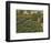 'The Flower Garden, general view', 1946-Unknown-Framed Giclee Print