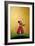 The Flower Girl-Cindy Thornton-Framed Giclee Print