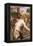 The Flower Picker-John William Waterhouse-Framed Premier Image Canvas