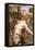 The Flower Picker-John William Waterhouse-Framed Premier Image Canvas