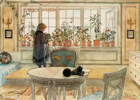 the-flower-window_u-l-f5b9hi0.jpg?h=550&