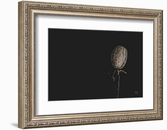 The Flower-Nathan Larson-Framed Photographic Print