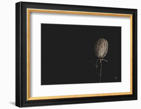 The Flower-Nathan Larson-Framed Photographic Print