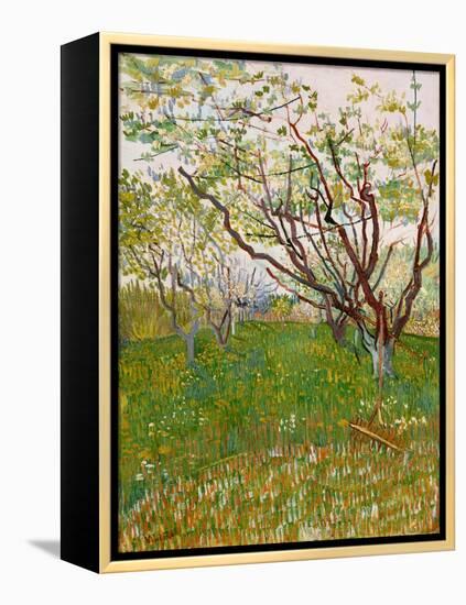 The Flowering Orchard, 1888-Vincent van Gogh-Framed Premier Image Canvas