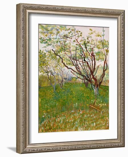 The Flowering Orchard, 1888-Vincent van Gogh-Framed Giclee Print