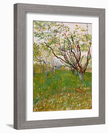 The Flowering Orchard, 1888-Vincent van Gogh-Framed Giclee Print
