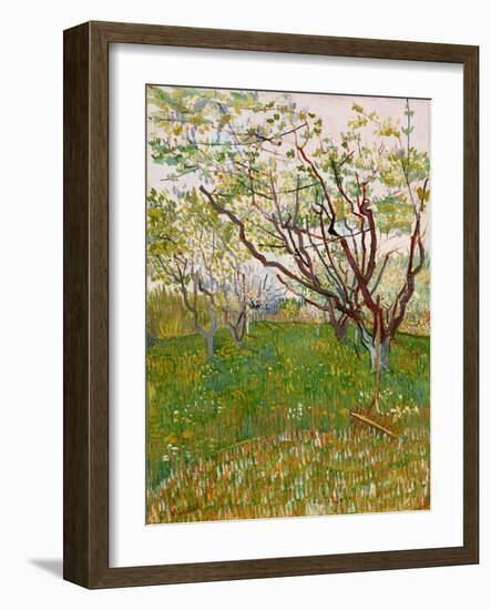 The Flowering Orchard, 1888-Vincent van Gogh-Framed Giclee Print