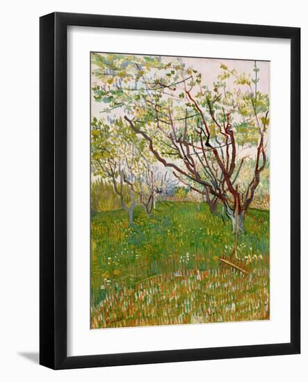 The Flowering Orchard, 1888-Vincent van Gogh-Framed Giclee Print