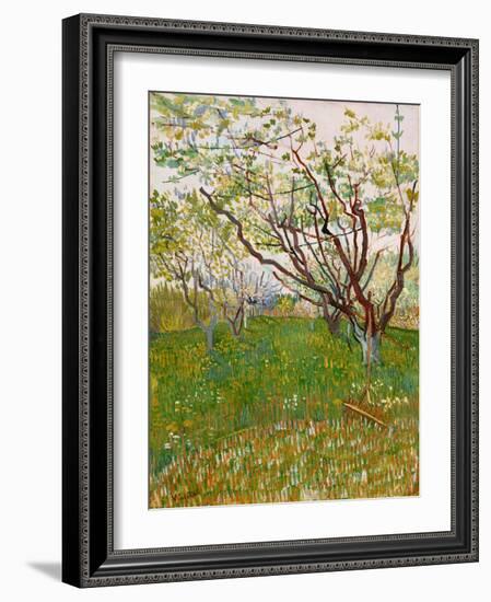 The Flowering Orchard, 1888-Vincent van Gogh-Framed Giclee Print