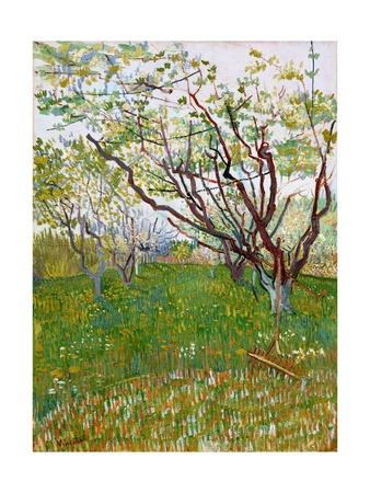flowering orchards van gogh