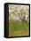 The Flowering Orchard-Vincent van Gogh-Framed Stretched Canvas