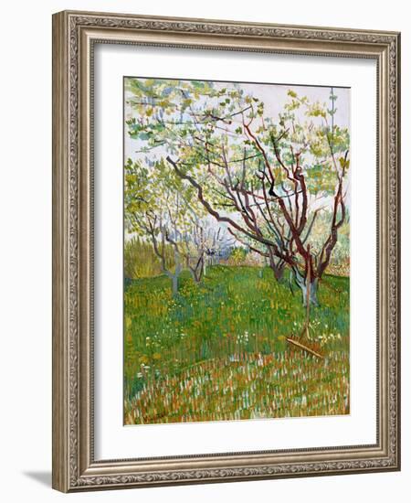 The Flowering Orchard-Vincent van Gogh-Framed Giclee Print