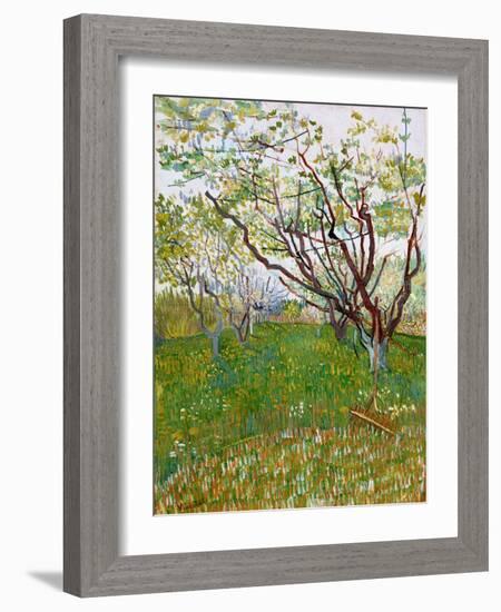 The Flowering Orchard-Vincent van Gogh-Framed Giclee Print