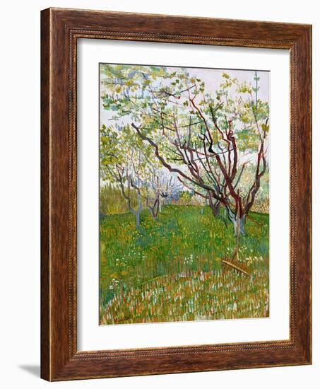 The Flowering Orchard-Vincent van Gogh-Framed Giclee Print