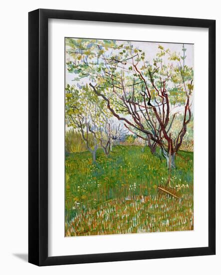 The Flowering Orchard-Vincent van Gogh-Framed Giclee Print