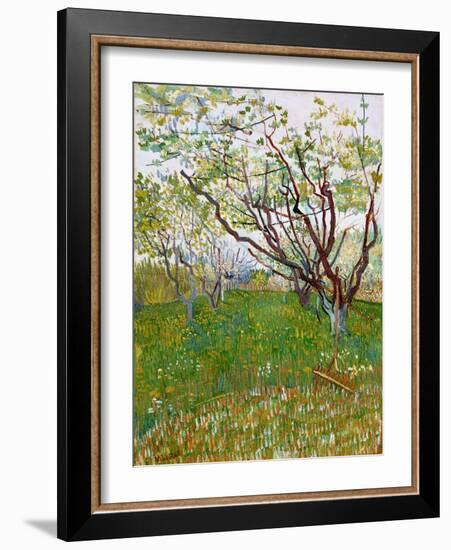 The Flowering Orchard-Vincent van Gogh-Framed Giclee Print