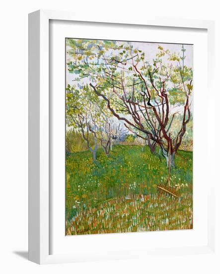 The Flowering Orchard-Vincent van Gogh-Framed Giclee Print