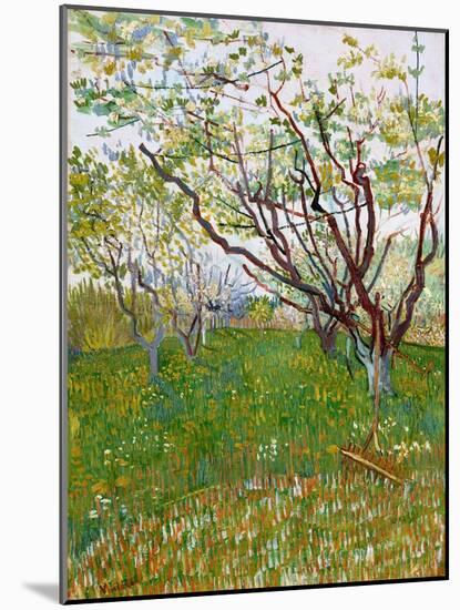 The Flowering Orchard-Vincent van Gogh-Mounted Giclee Print