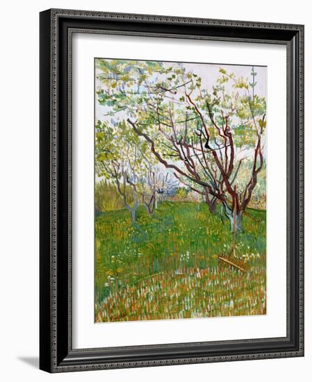 The Flowering Orchard-Vincent van Gogh-Framed Giclee Print