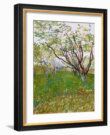 The Flowering Orchard-Vincent van Gogh-Framed Giclee Print