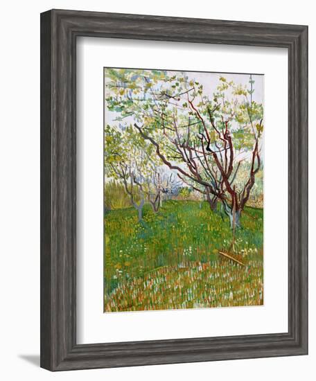 The Flowering Orchard-Vincent van Gogh-Framed Giclee Print