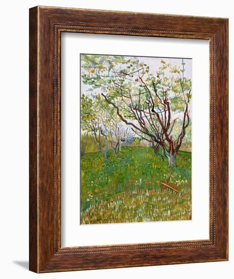 The Flowering Orchard-Vincent van Gogh-Framed Giclee Print