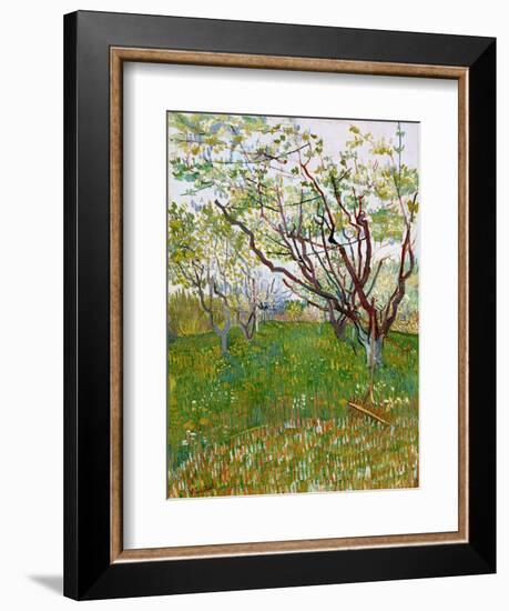 The Flowering Orchard-Vincent van Gogh-Framed Giclee Print