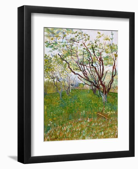 The Flowering Orchard-Vincent van Gogh-Framed Giclee Print