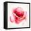 The Flowering Red Poppy-artant-Framed Stretched Canvas