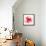 The Flowering Red Poppy-artant-Framed Stretched Canvas displayed on a wall
