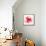 The Flowering Red Poppy-artant-Framed Stretched Canvas displayed on a wall