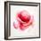 The Flowering Red Poppy-artant-Framed Art Print