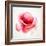 The Flowering Red Poppy-artant-Framed Art Print