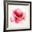 The Flowering Red Poppy-artant-Framed Art Print